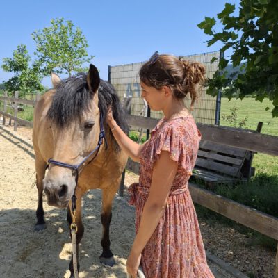 Hoftiere kennenlernen