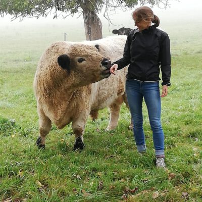 Hoftiere kennenlernen