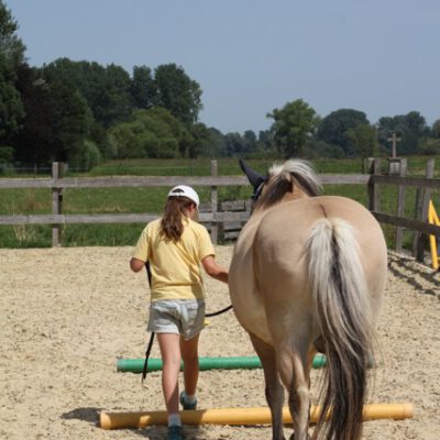 Hoftiere kennenlernen