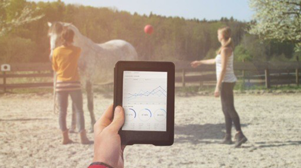 Wie reagiert ein Pferd auf die Belastung einer Therapie - wissenschaftliche Arbeit rund um das Thema Pferde- und tiergestützte Interventionen