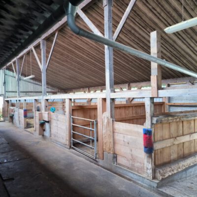 Stall am Hof