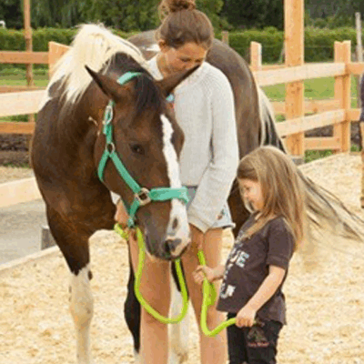 Hoftiere kennenlernen
